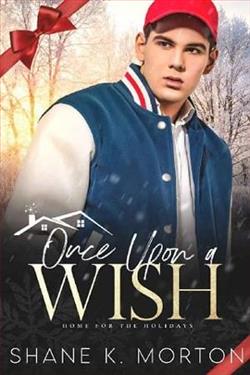 Once Upon A Wish by Shane Morton