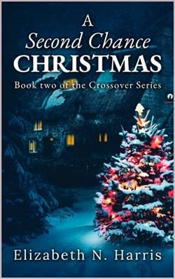 A Second Chance Christmas by Elizabeth N. Harris