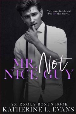 Mr. Not Nice Guy by Katherine L. Evans